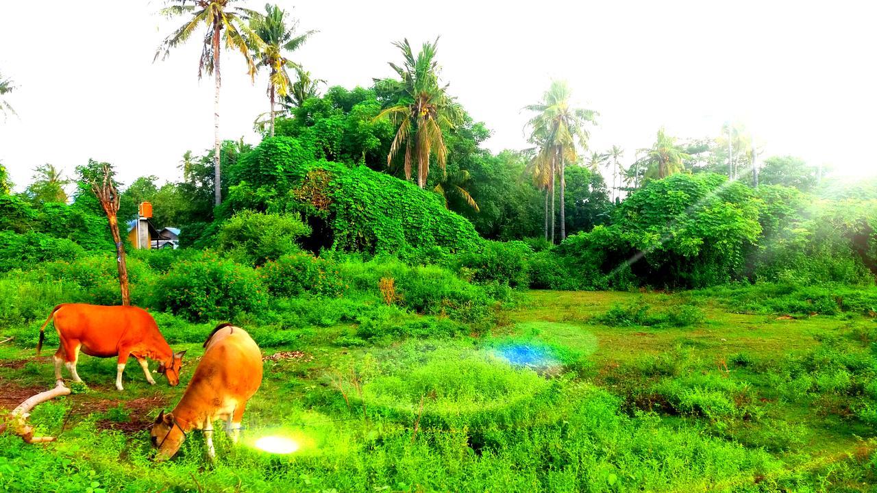 Ofal Lumbung Gili Air Exterior photo